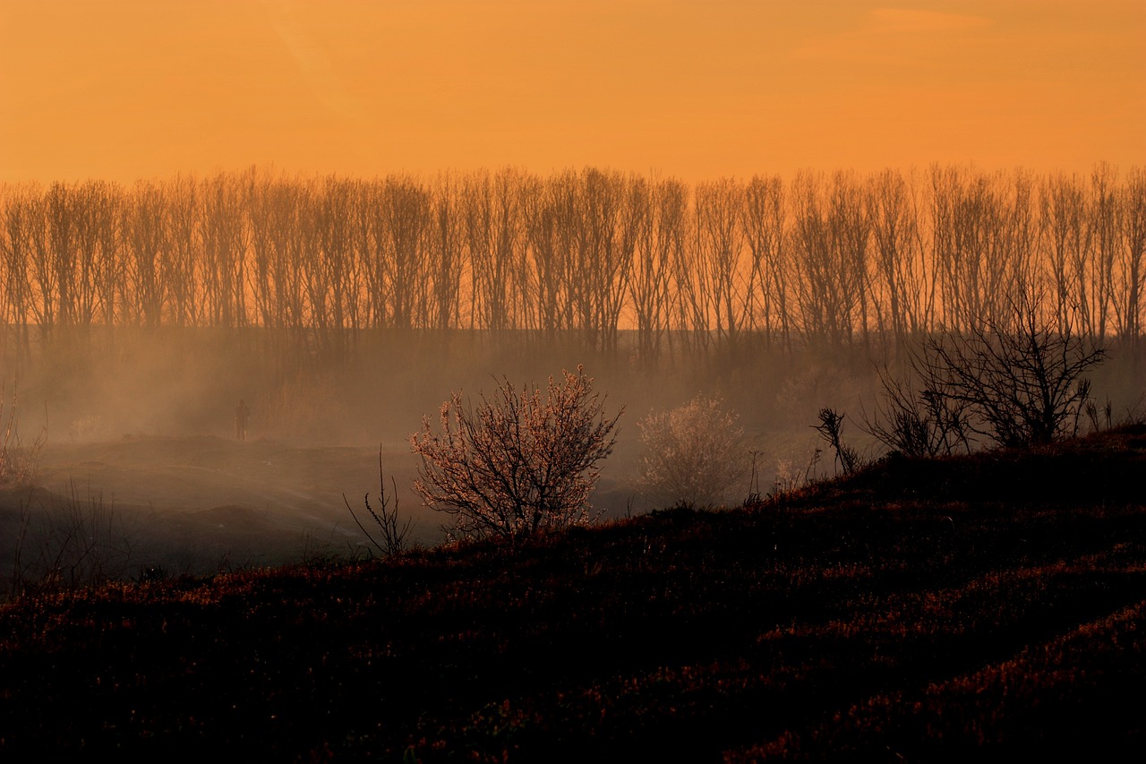 Steps to Prepare Your Family for a Natural Disaster